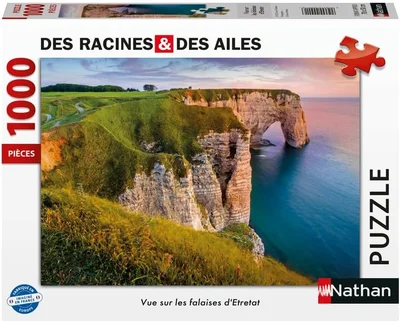 Vue sur les falaises d'Etretat