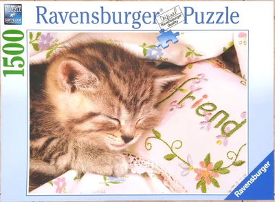 Schlafendes Kätzchen