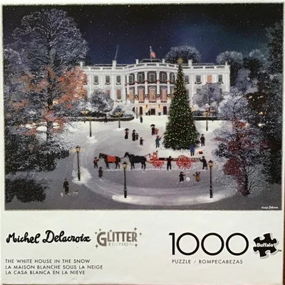 The White House in the Snow