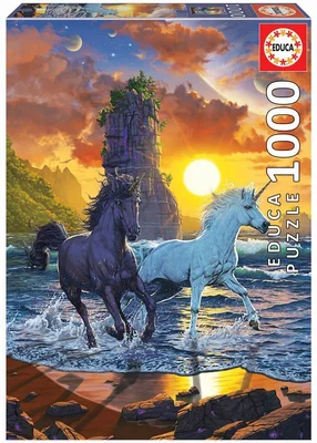 Unicorns on the beach