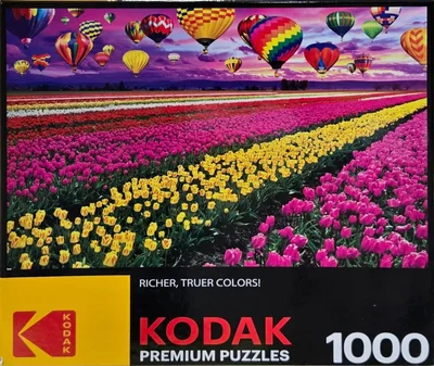 Sunset Balloons over Tulip Field