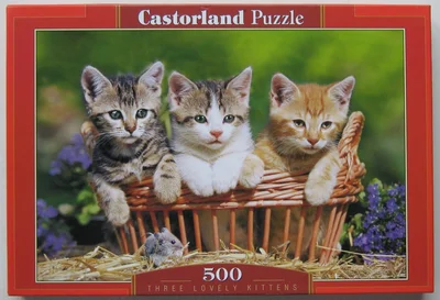 Three Lovely Kittens