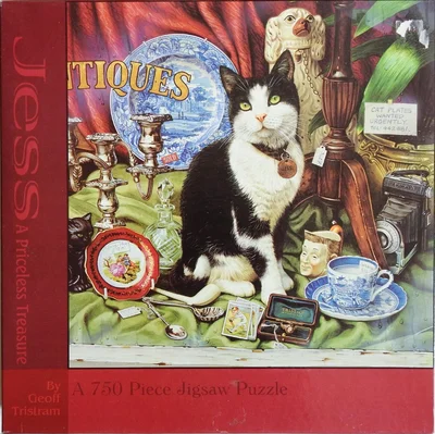 Jess - A Priceless Treasure