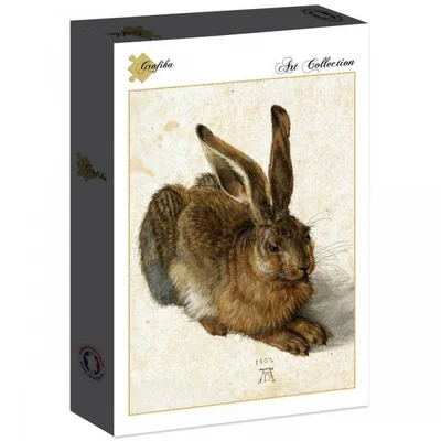 The Rabbit, 1502