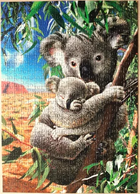 Koala and Cub