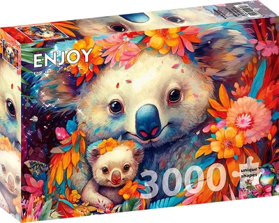 Koala Kuddles