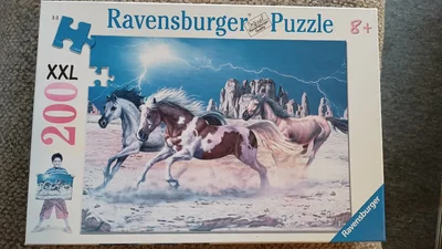 Thunder Horses