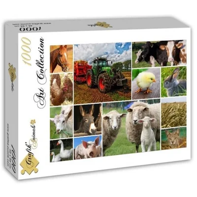 Collage - Farmyard Animals