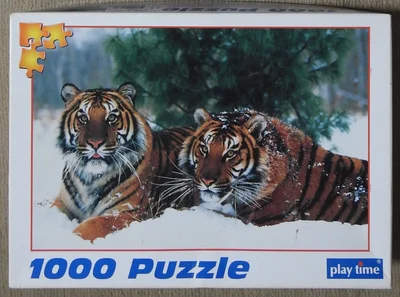 Siberian Tigers, Russia
