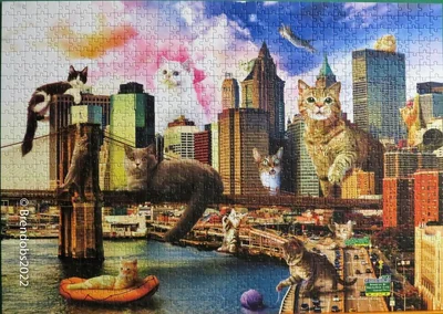 Cats In New York