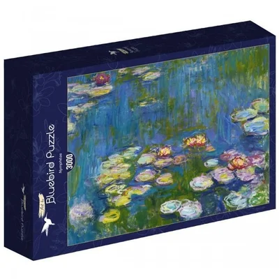 Water Lilies