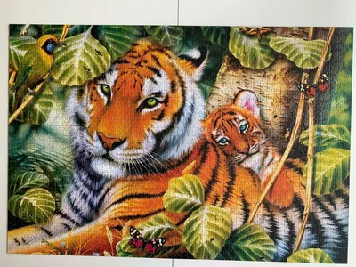Two Tigers