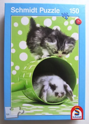 Tierfreundschaft