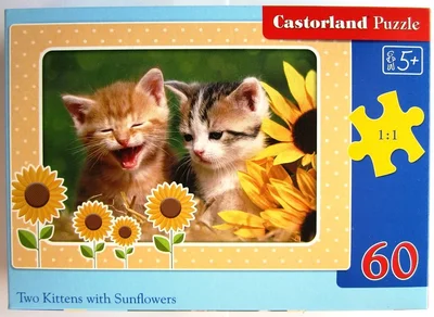 Two Kittens with Sunflowers
