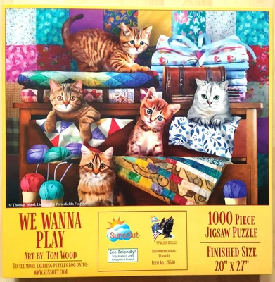 We Wanna Play