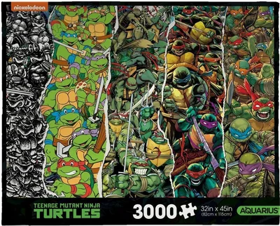 TMNT