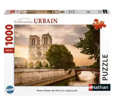 Notre-Dame de Paris au crépuscule