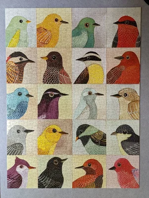 Avian Friends