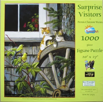 Surprise Visitors