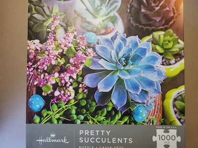 Pretty Succulents