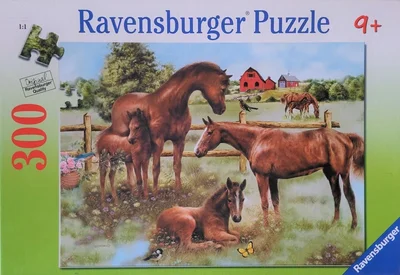 Horse Family