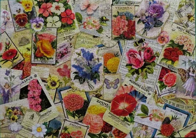 Vintage Garden Seeds