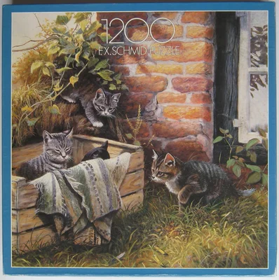 Playing Cats