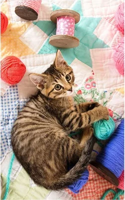 Mine