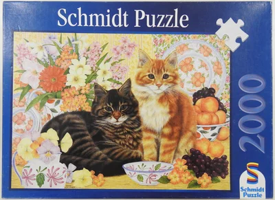 Zwei Katzen