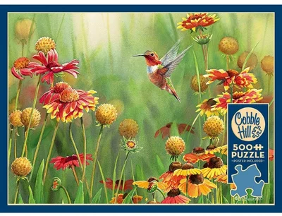 Rufous Hummingbird