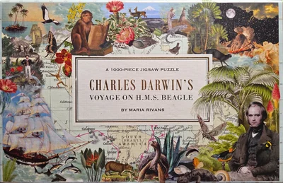 Charles Darwin's Voyage on H.M.S. Beagle