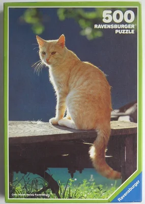 Ginger Cat