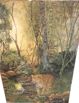 Leopard