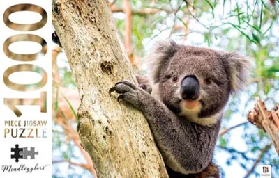 Koala in a Tree, Australia