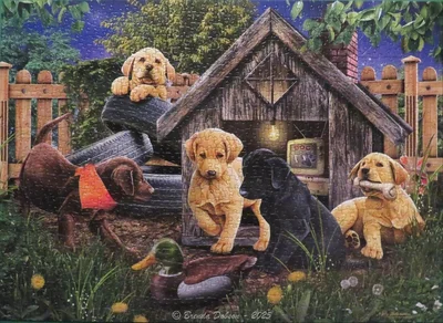 In The Doghouse