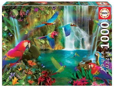 Tropical parrots