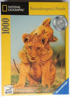 Lion Cubs