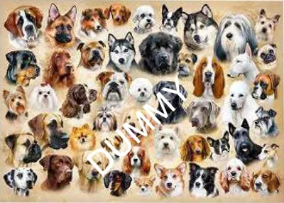 Collage with Dogs