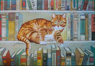 American Cat