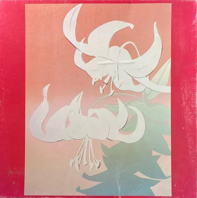 White Lily