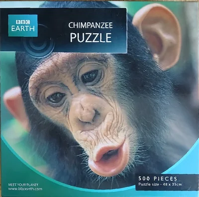 Chimpanzee Puzzle