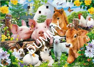 Farm Friends