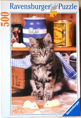 Tabby in the Kitchen