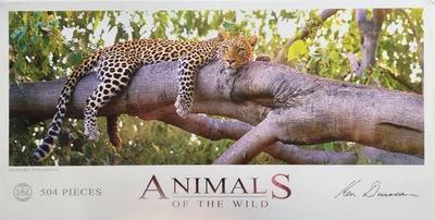 Leopard Botswana