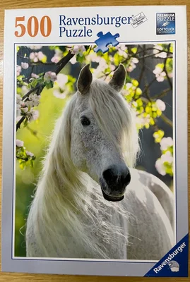 Equestrian Spring
