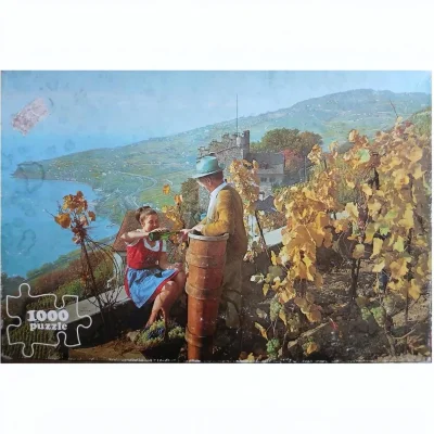 Wine harvest, lake Geneva, Switzerland