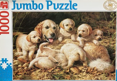 Golden Retrievers
