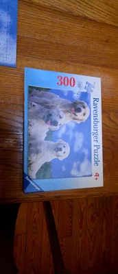 Hundefamilie