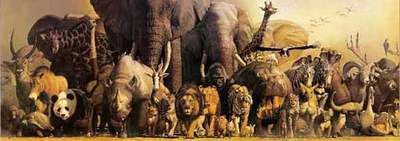 Noah's Ark