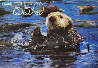 Sea Otter